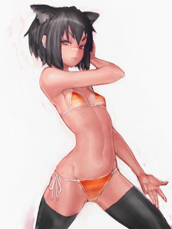  ,  ,    ,      .       ,       